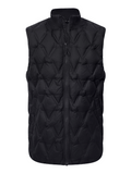 Men's Loft Vest *LCC LOGO*